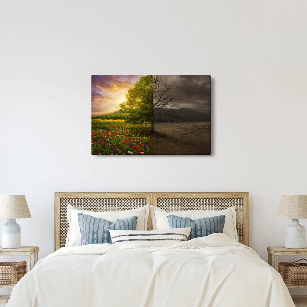 Obraz - Kolobeh života (90x60 cm)