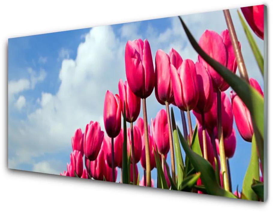 Obraz na akrylátovom skle Tulipán 100x50 cm