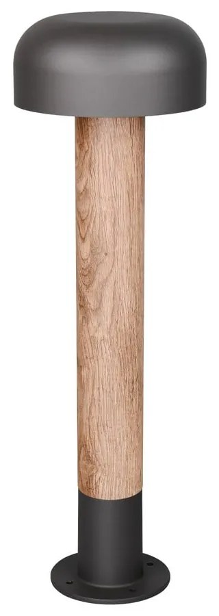 Stĺpové vonkajšie svietidlo ø 19 cm Fraser – Trio