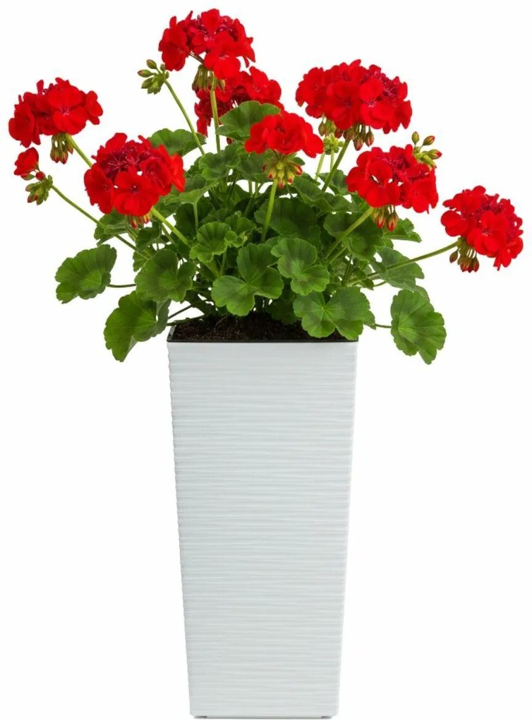 PLASTOVÝ KVETINÁČ PORTO RIFLO 36X19X19 CM BIELA