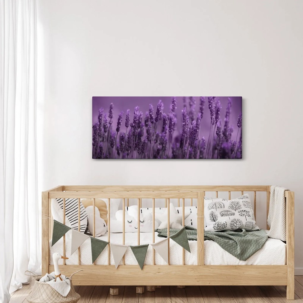 Obraz - Levanduľa (120x50 cm)