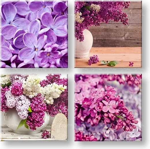 Obraz na stenu Lilacs 4 dielny XOBKOL05E42