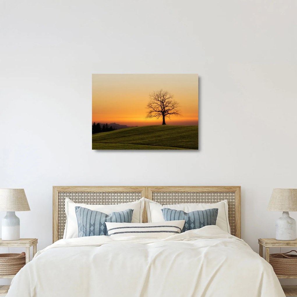 Sklenený obraz západu slnka na lúke (70x50 cm)