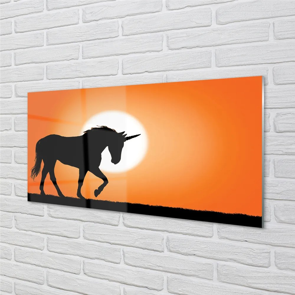 Obraz na akrylátovom skle Sunset unicorn 140x70 cm