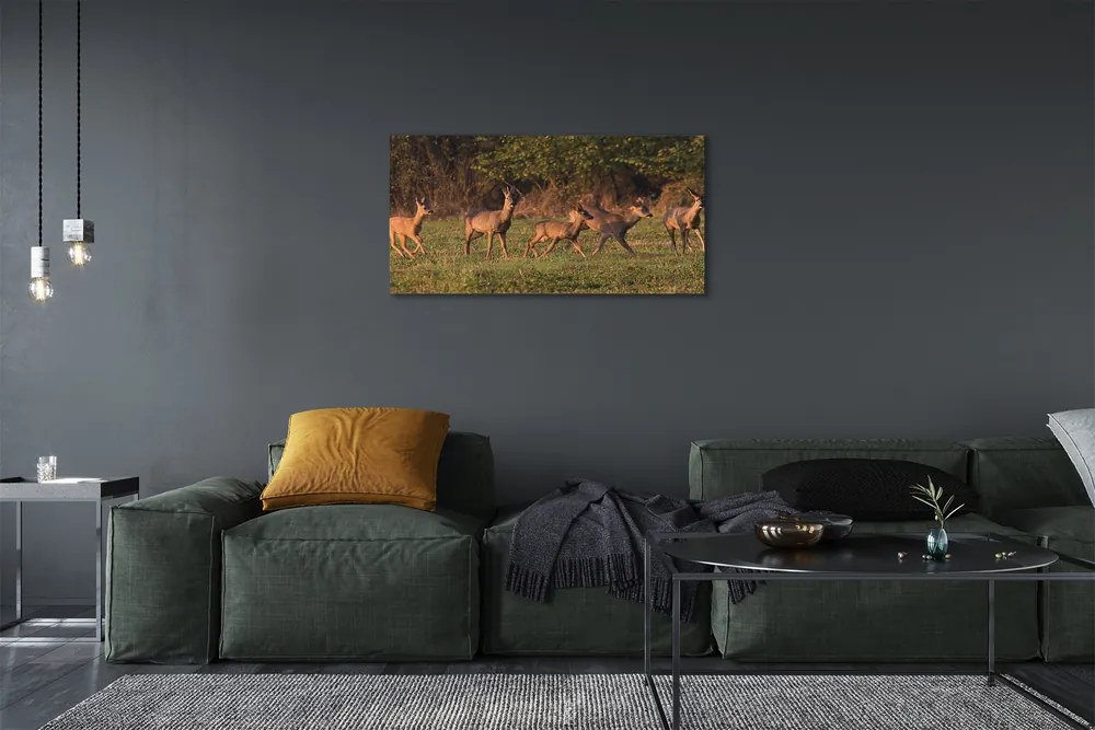 Obraz na plátne Deer Golf svitania 140x70 cm