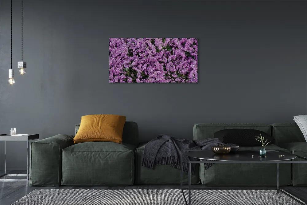 Obraz canvas fialové kvety 120x60 cm
