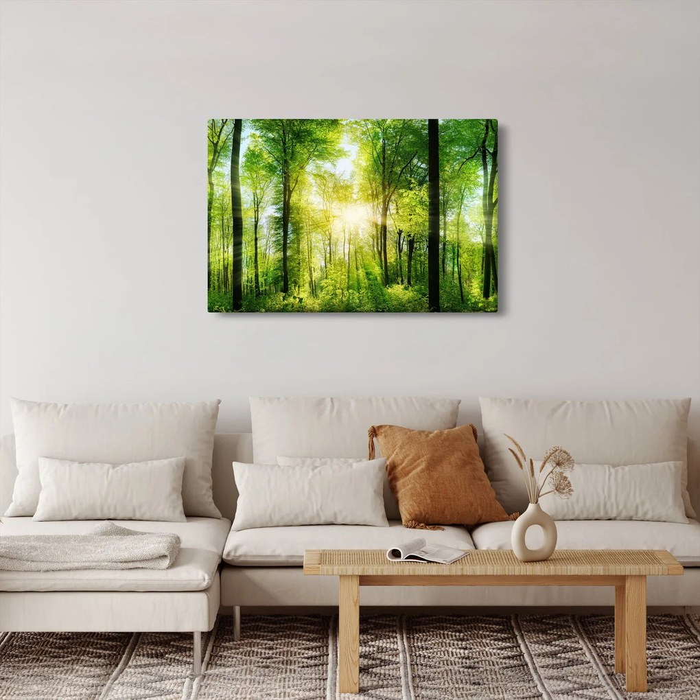 Obraz - Svitanie v lese (90x60 cm)