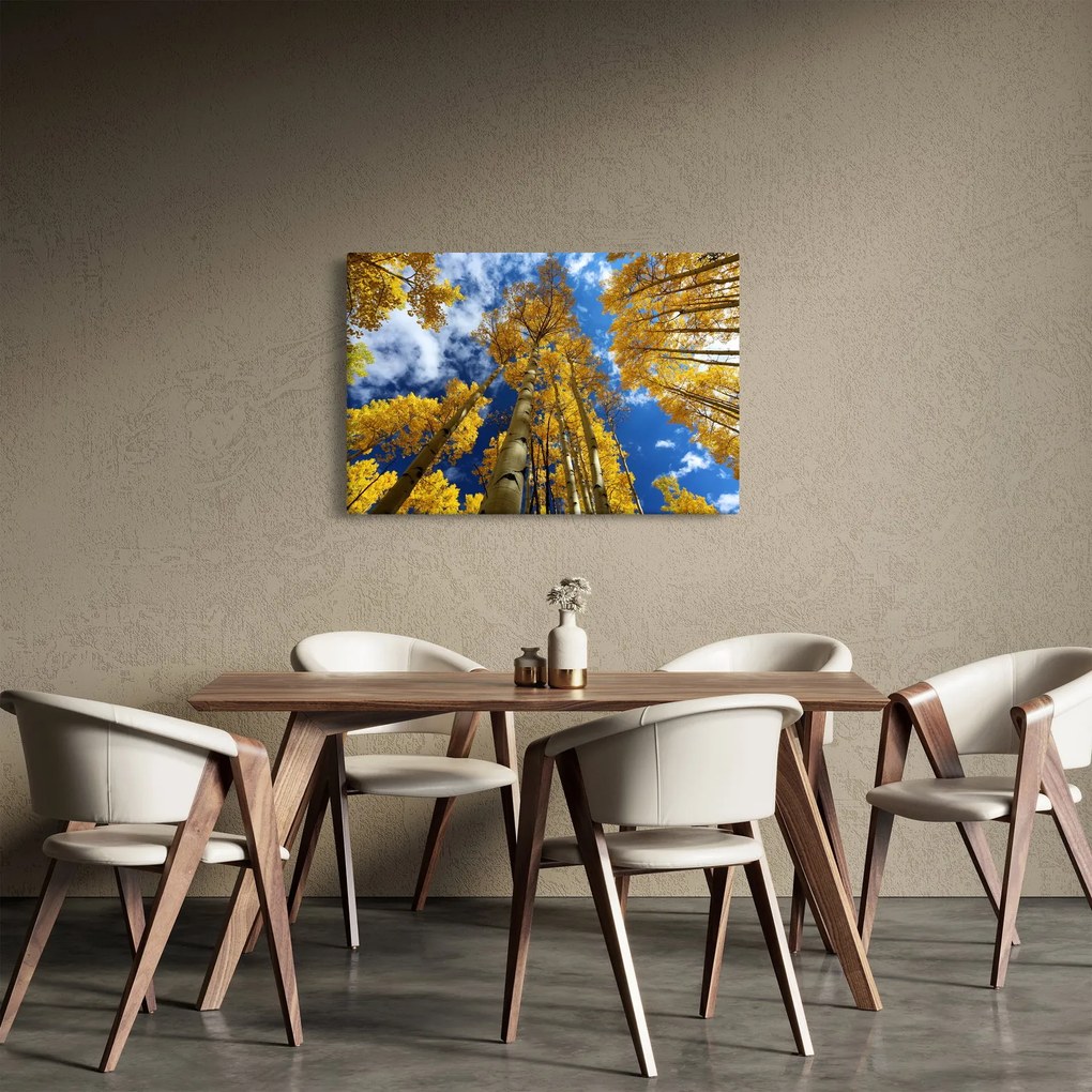 Obraz - Aspen (90x60 cm)