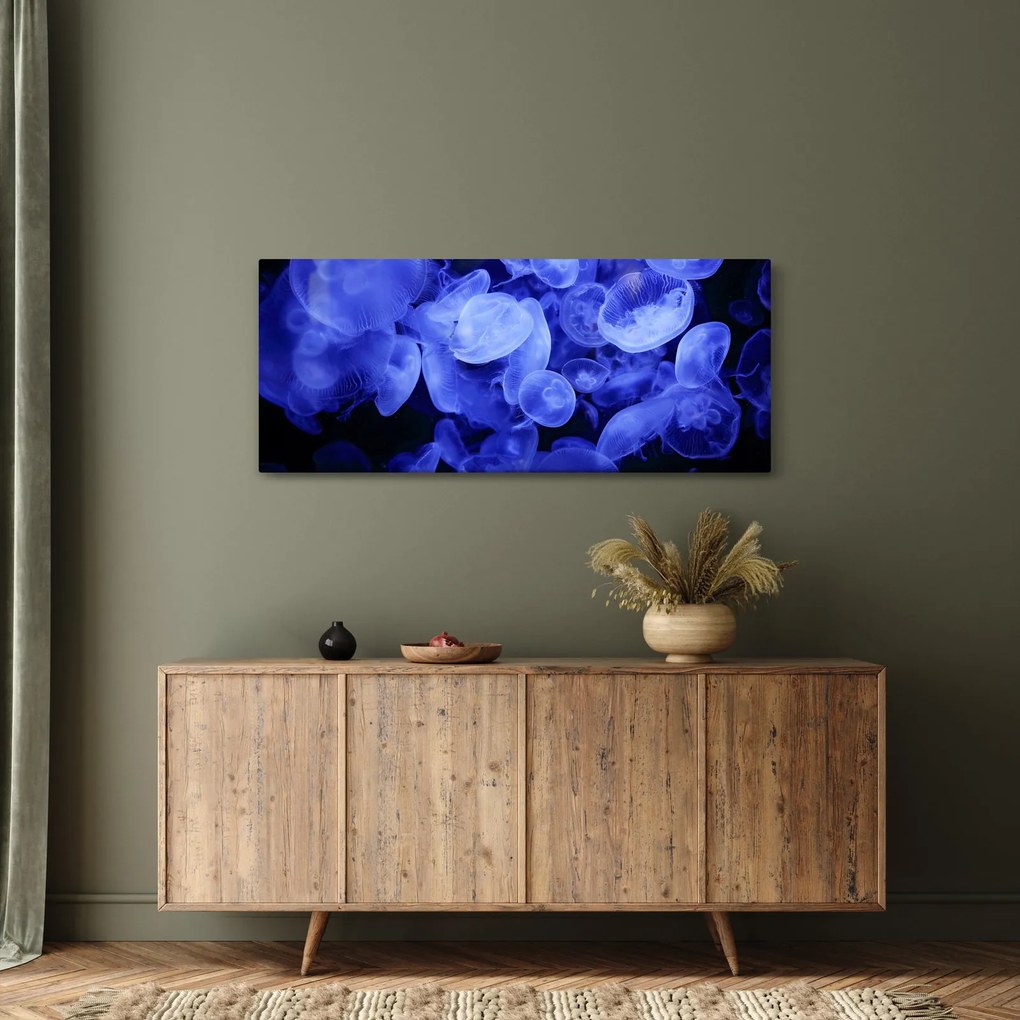 Obraz - Medúzy (120x50 cm)