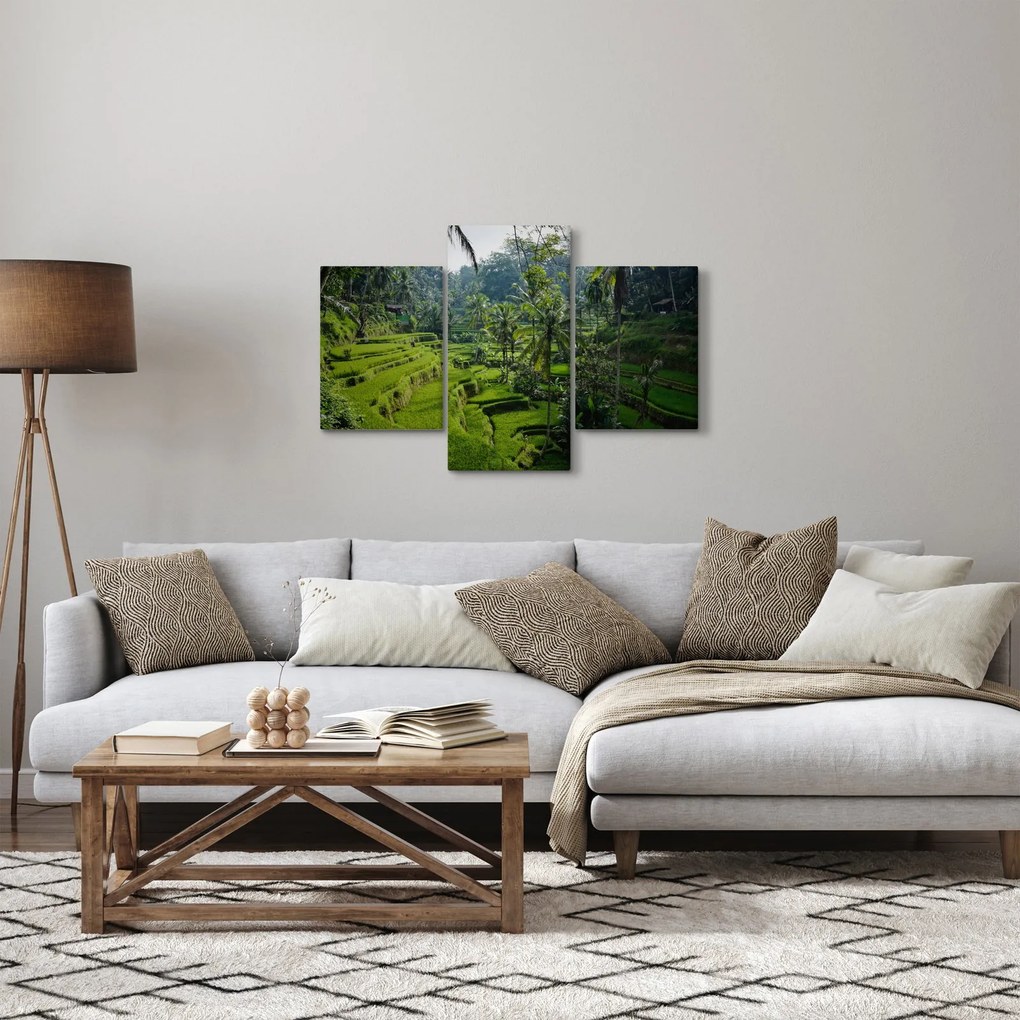 Obraz ryžových terás Tegalalang, Bali (90x60 cm)