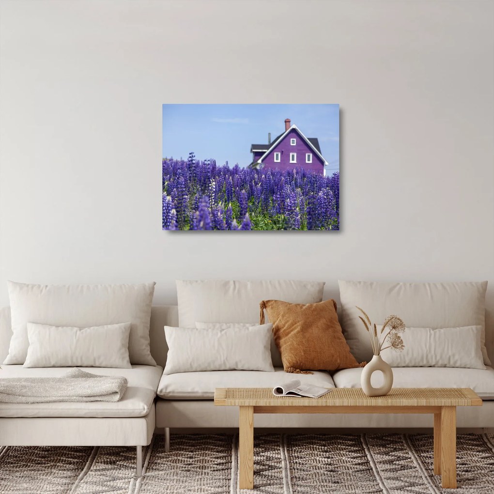 Sklenený obraz levanduľového poľa (70x50 cm)