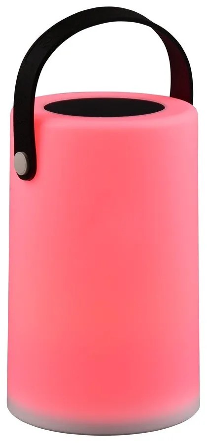 LED solárne vonkajšie svietidlo (výška 21 cm) Garcia – Trio