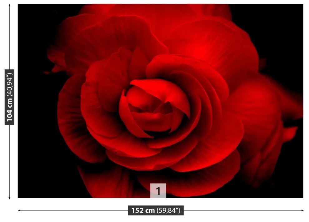 Fototapeta Vliesová Červená ruža 208x146 cm