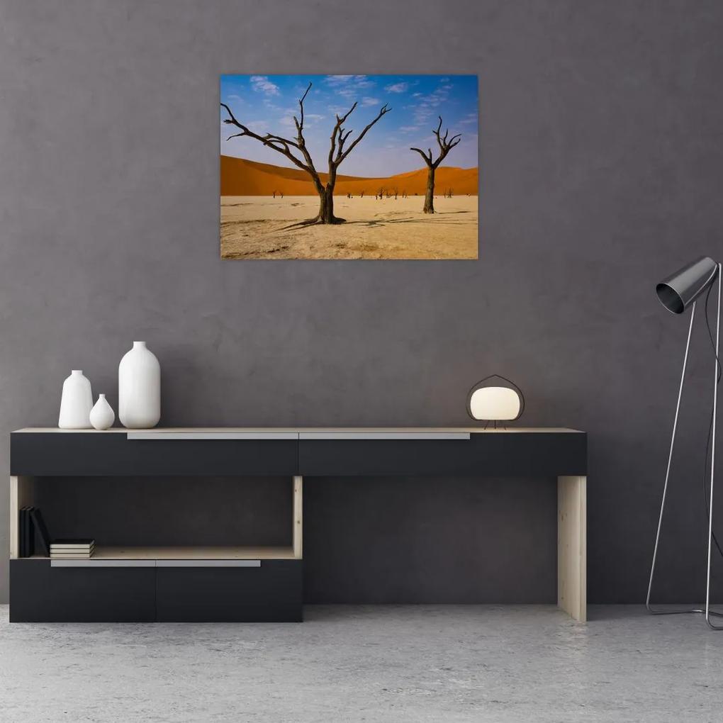 Sklenený obraz - Údolie smrti (70x50 cm)