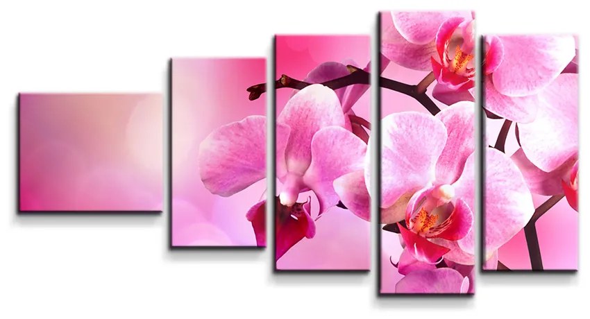 Sablio Obraz - 5-dílný Květy Orchidey - 100x60 cm
