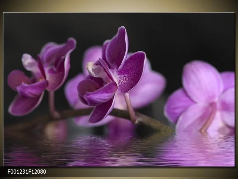 Obraz na plátne Fialové orchidey na vode, Obdĺžnik 120x80cm 87,92 €