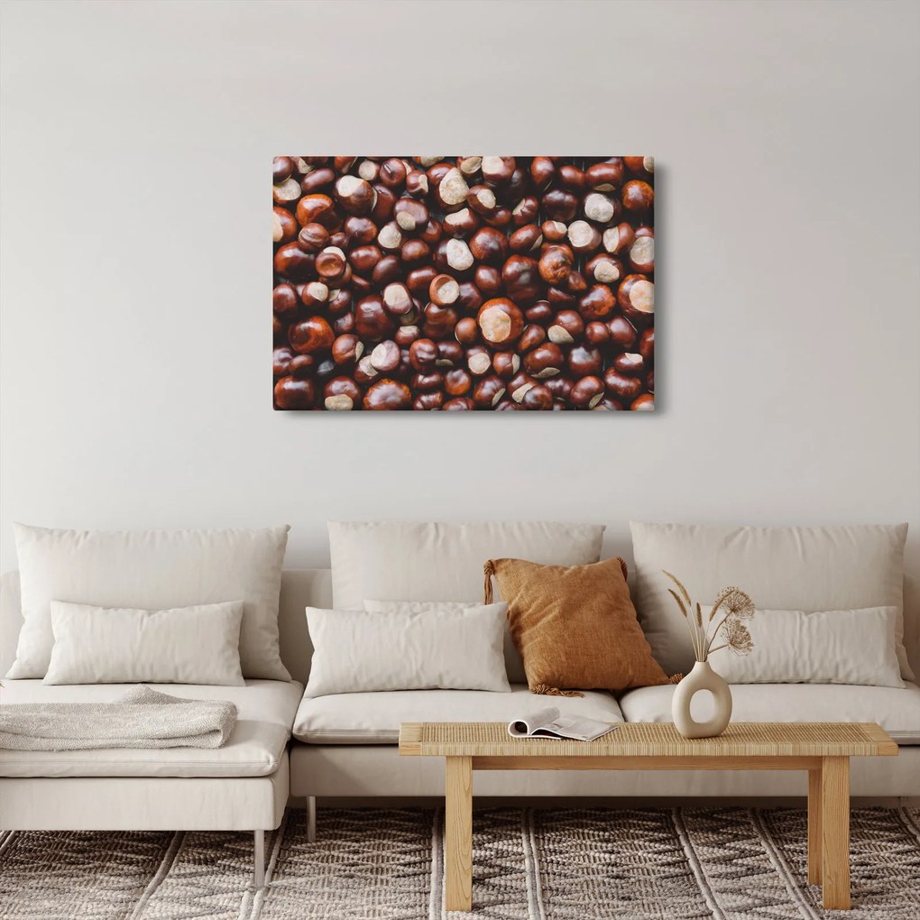 Obraz - Zrelé gaštany (90x60 cm)