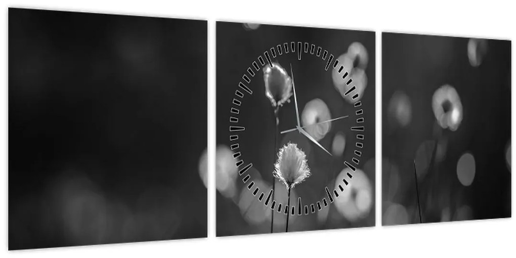 Obraz - Cottongrass na lúke (s hodinami) (90x30 cm)