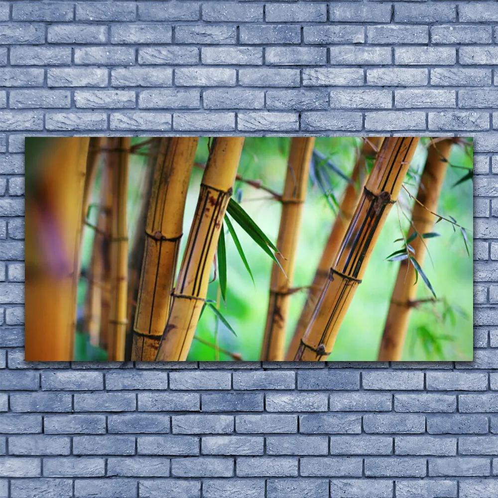 Obraz na akrylátovom skle Bambus príroda rastlina 120x60 cm