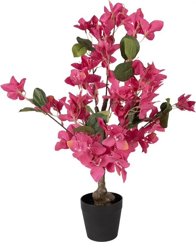 Stromček s ružovými kvetmi Bougainvillea Tree - 25*25*60 cm