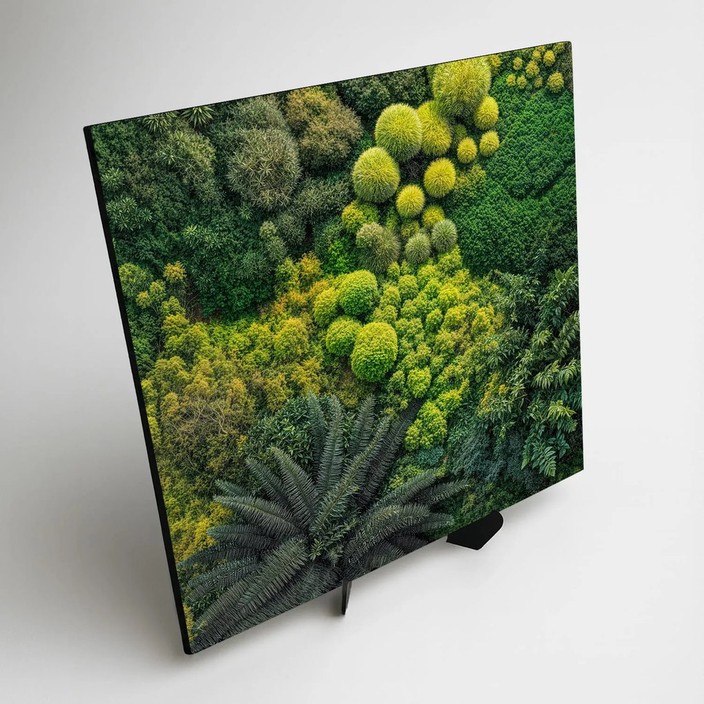 DUBLEZ | Dekoračný obraz machu - Nádych