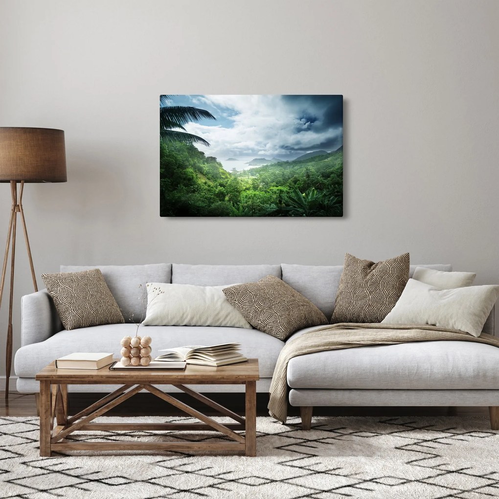 Obraz - Seychelská jungle (90x60 cm)