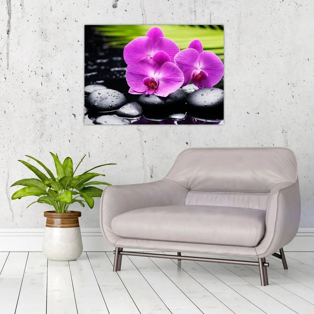 Obraz - Orchidey (70x50 cm)