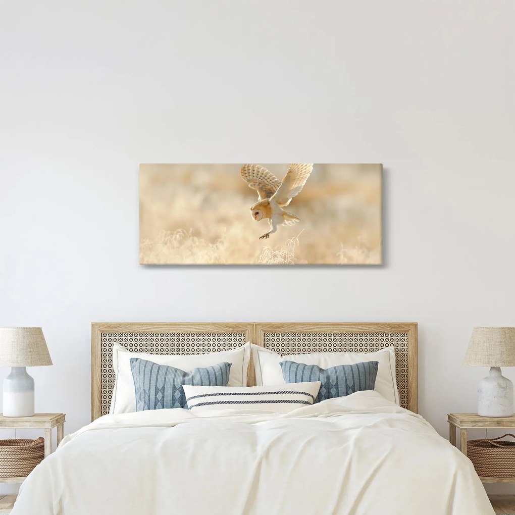 Obraz - Sova pálená (120x50 cm)