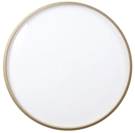 LED Stropné svietidlo FLORIDA LED/18W/230V čierna