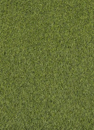 Koberce Breno Umelá tráva SPECTAL 2015, šíře role 400 cm
