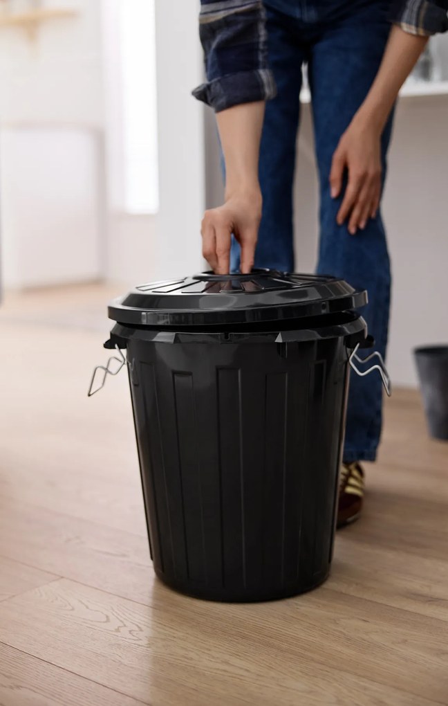 Rotho Odpadkový kôš s vekom a kovovými zámkami MINI POPOLNICA 25l