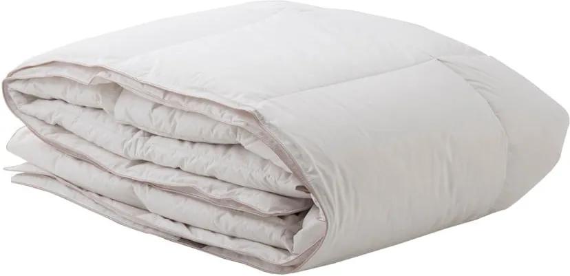 Biela deka z bavlny s výplňou husieho peria Bella Maison, 235 × 215 cm