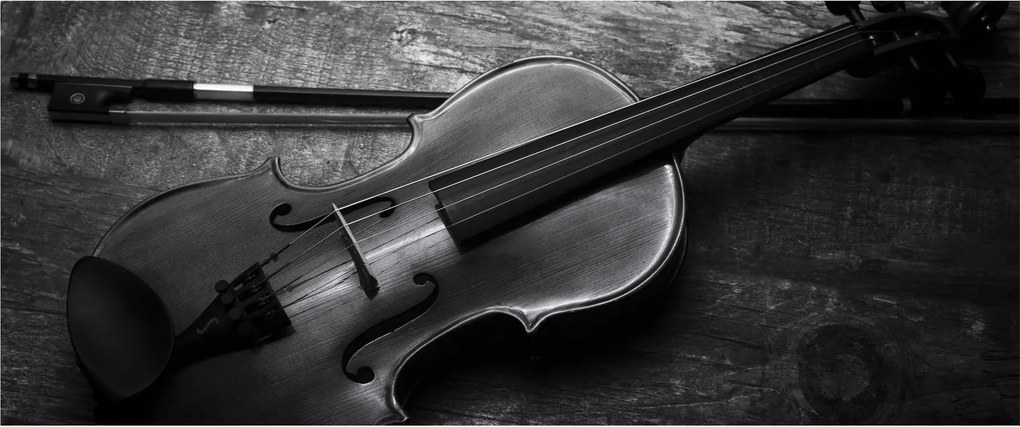Obraz - Viola (120x50 cm)