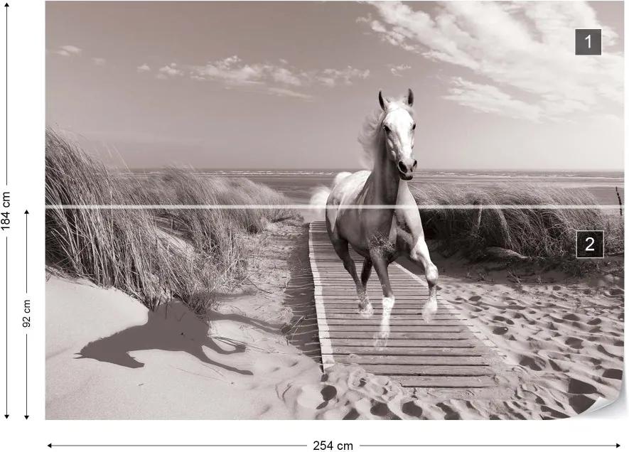 GLIX Fototapeta - White Horse Beach Black And White Vliesová tapeta  - 254x184 cm