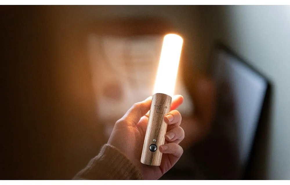 Hnedé LED nástenné svietidlo na USB Baton – Gingko
