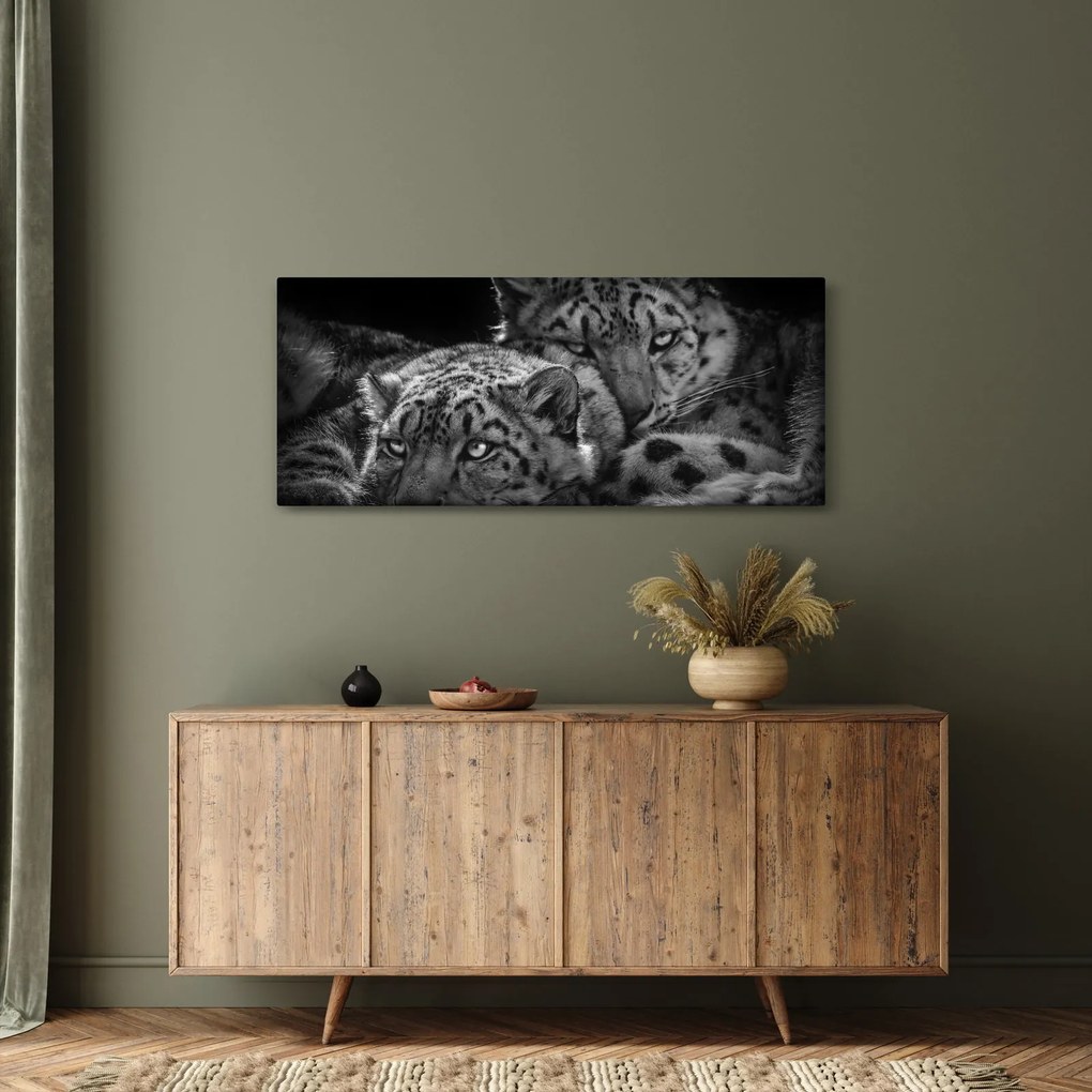 Obraz - Odpočívajúci gepardy (120x50 cm)