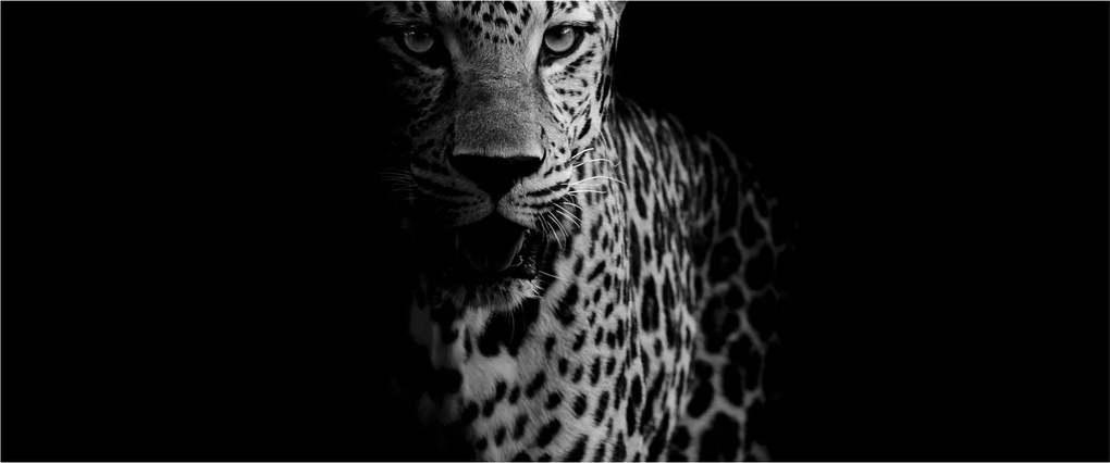 Obraz - Portrét leoparda (120x50 cm)