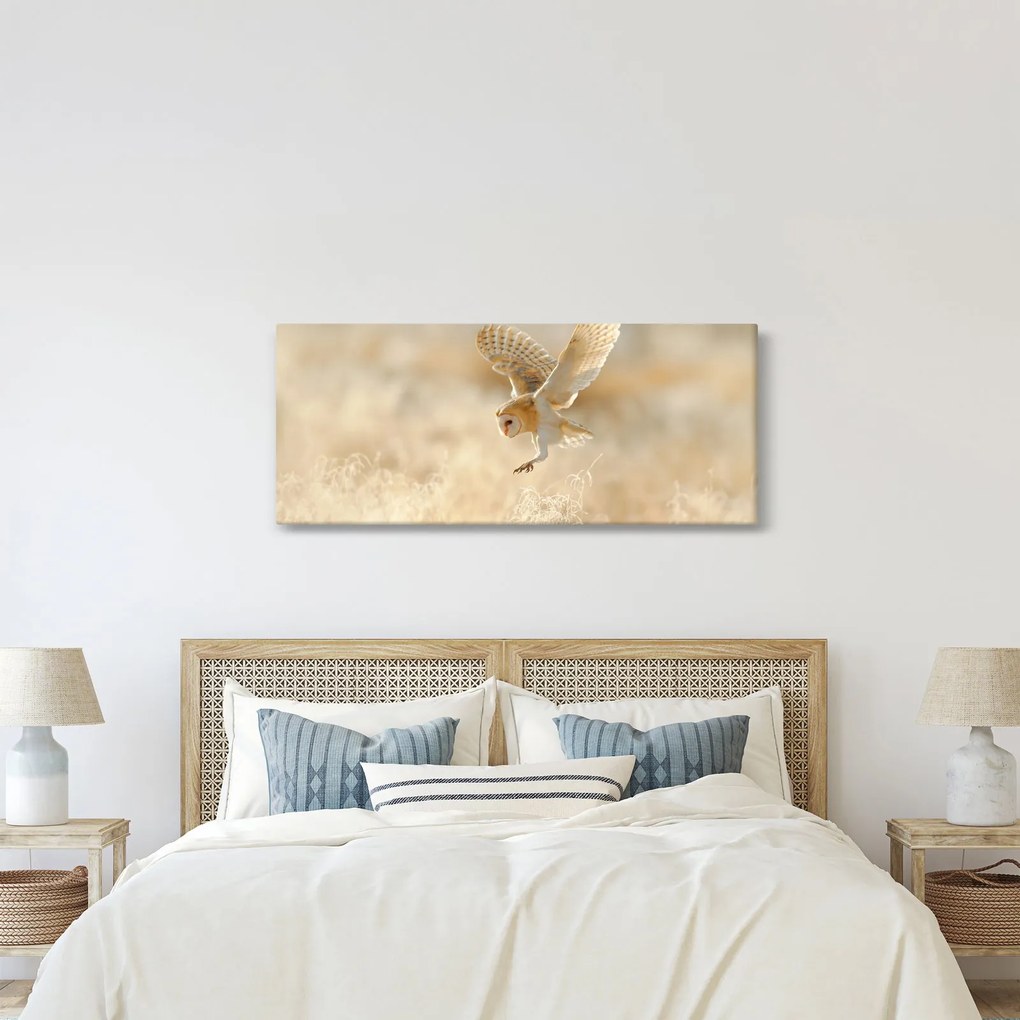 Obraz - Sova (120x50 cm)