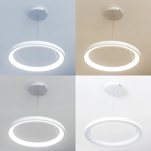 Brilagi - LED stmievateľný závesný luster na lanku FALCON SLIM LED/42W/230V priemer 50 cm biely + diaľkové ovládanie