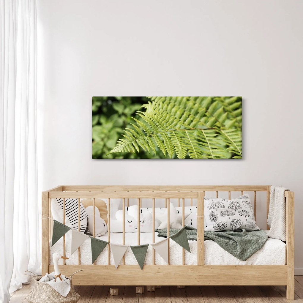 Obraz - Papradinový list (120x50 cm)