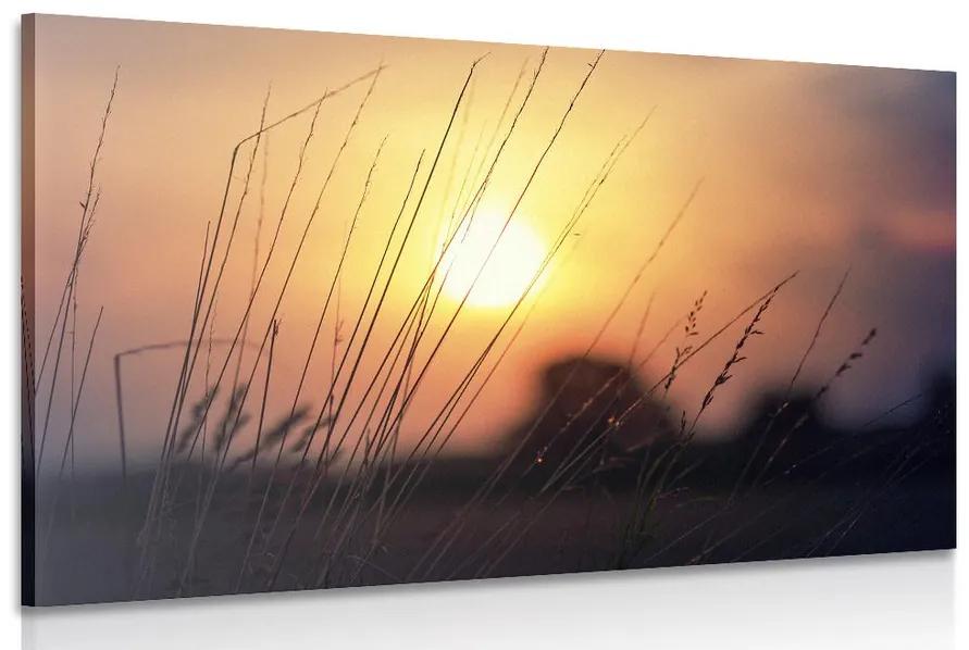 Obraz východ slnka nad lúkou Varianta: 120x80