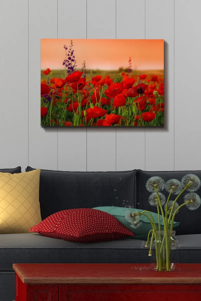 Obraz na plátne Poppy field 50x70 cm