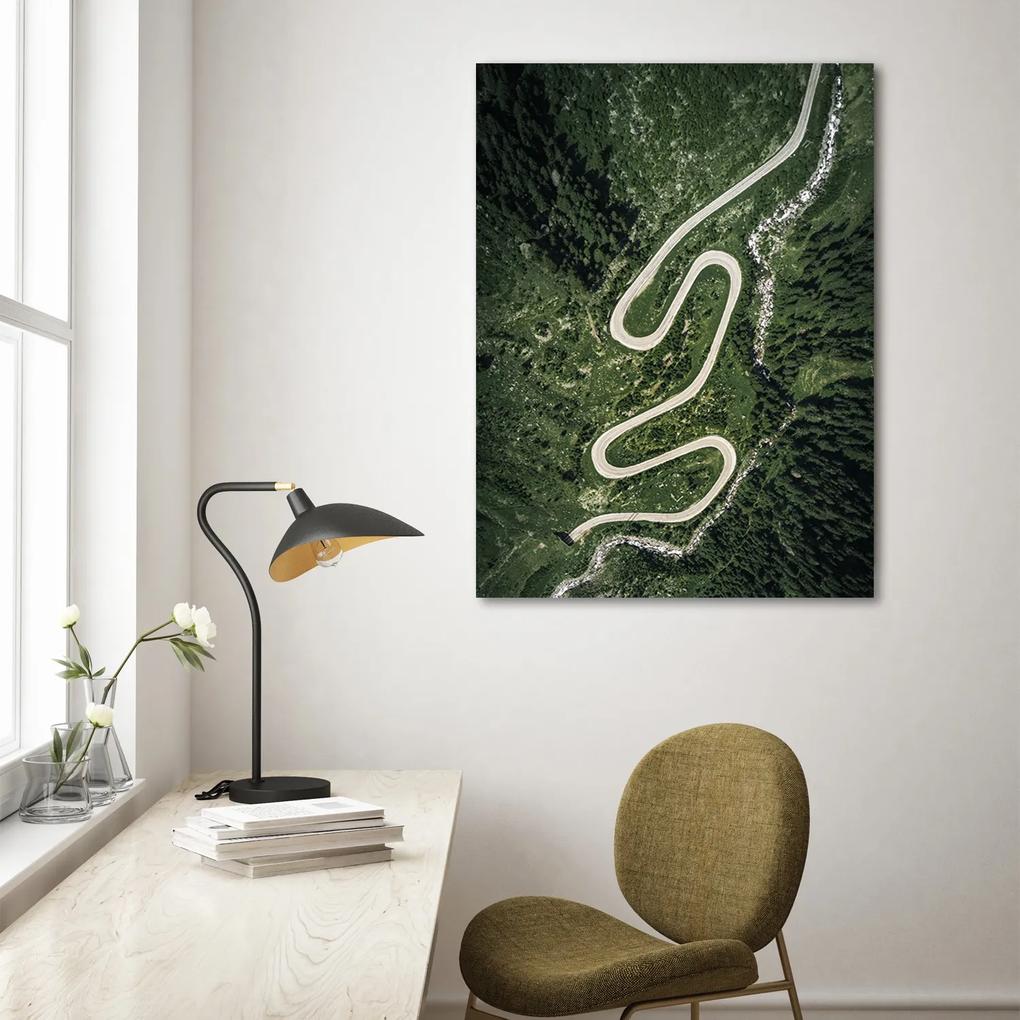 Gario Obraz na plátne Kľukatá cesta v lese - Nikita Abakumov Rozmery: 40 x 60 cm