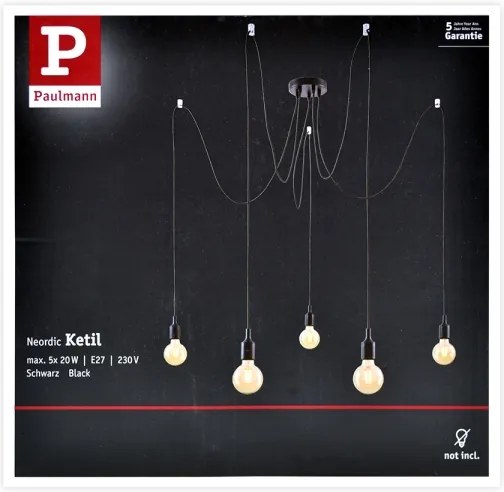 Paulmann 50389 - Luster na lanku NEORDIC 5xE27/20W/230V pavúk