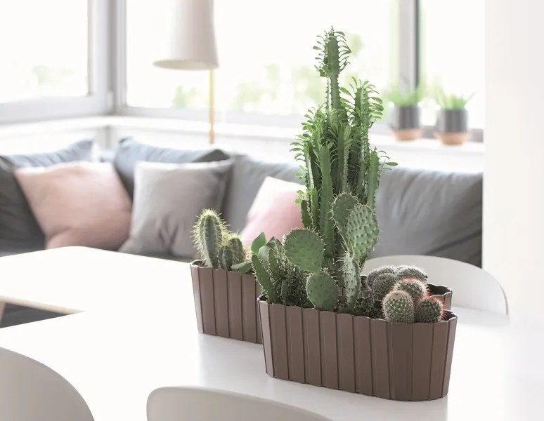 Truhlík BORDUR BASIC antracit