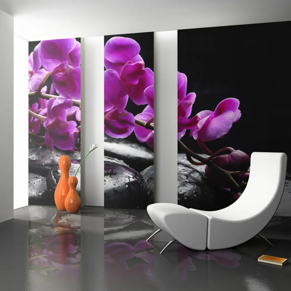 Fototapeta - Relaxing moment: orchid flower and stones 200x154