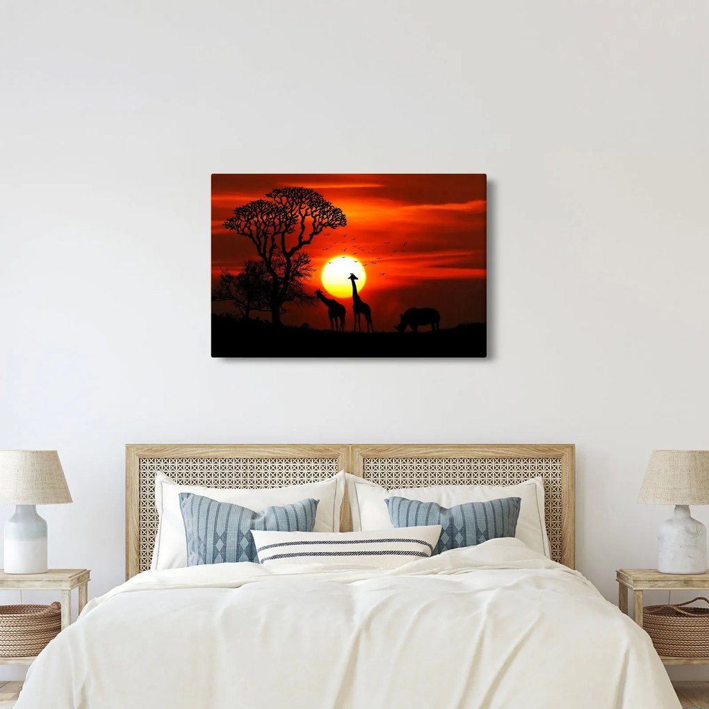 Obraz - Siluety zvierat pri západe slnka (90x60 cm)