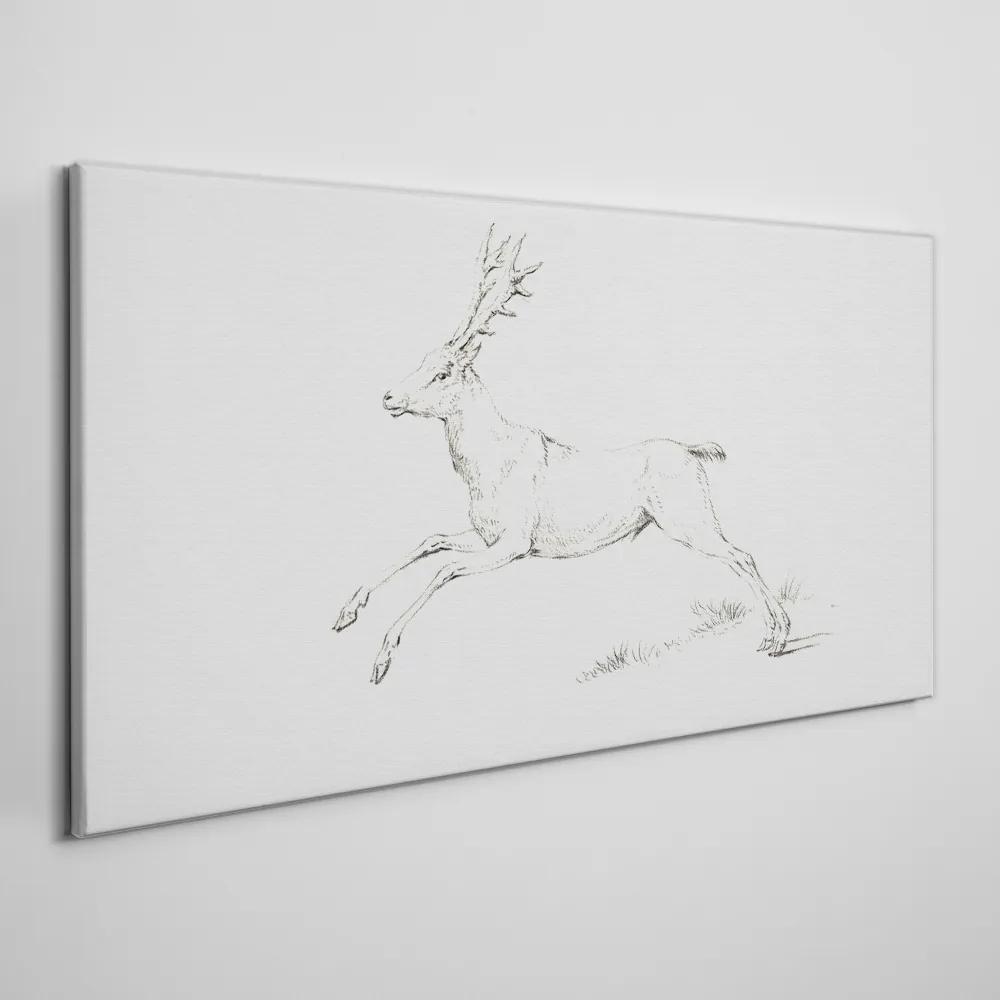 Obraz na plátne Kreslenie živočíšneho jeleňovi