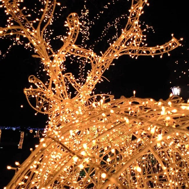 Dekoračné svetielka 192 LED biele