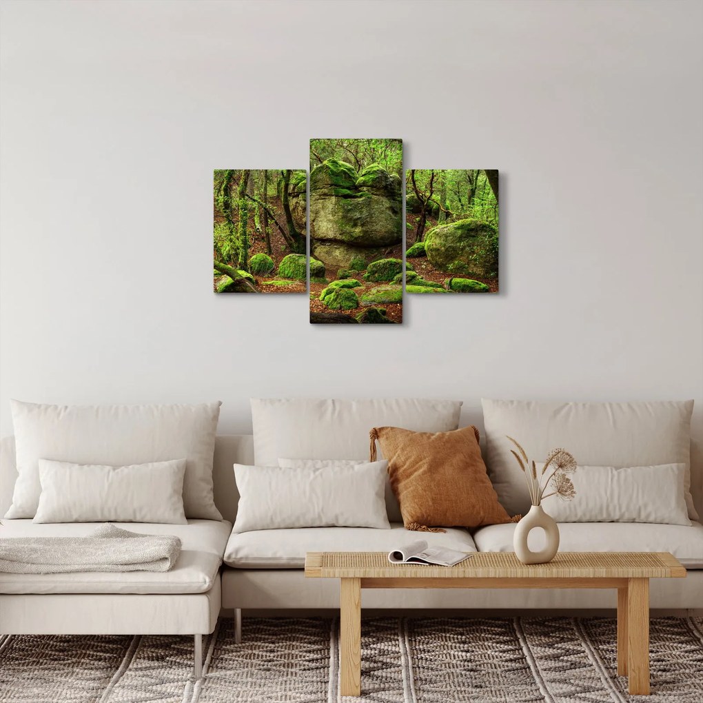 Obraz čarovného lesa (90x60 cm)
